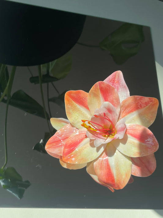 Prime Rosé Earrings