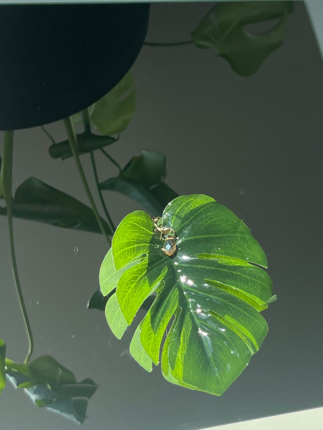 Monstera Monstera Earrings